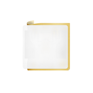 Метка ISBC Labels 50х50 UHF, UCODE8, paper adhesive (45x31)