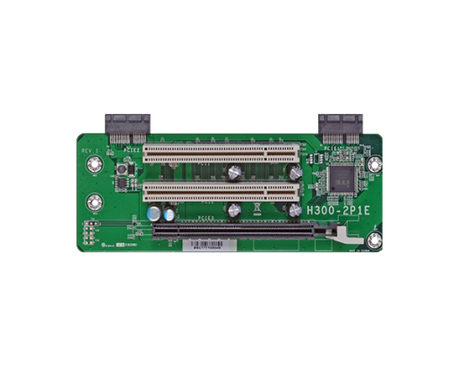 H300-2P1E