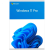 ОС Windows 11 Pro