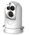 MSV-Line D