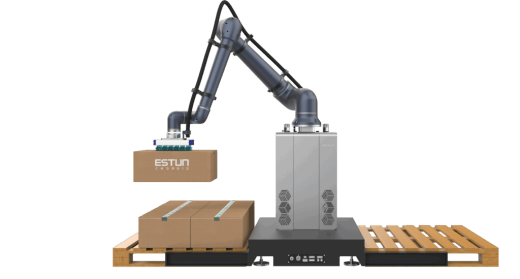 Co-Palletizer 20